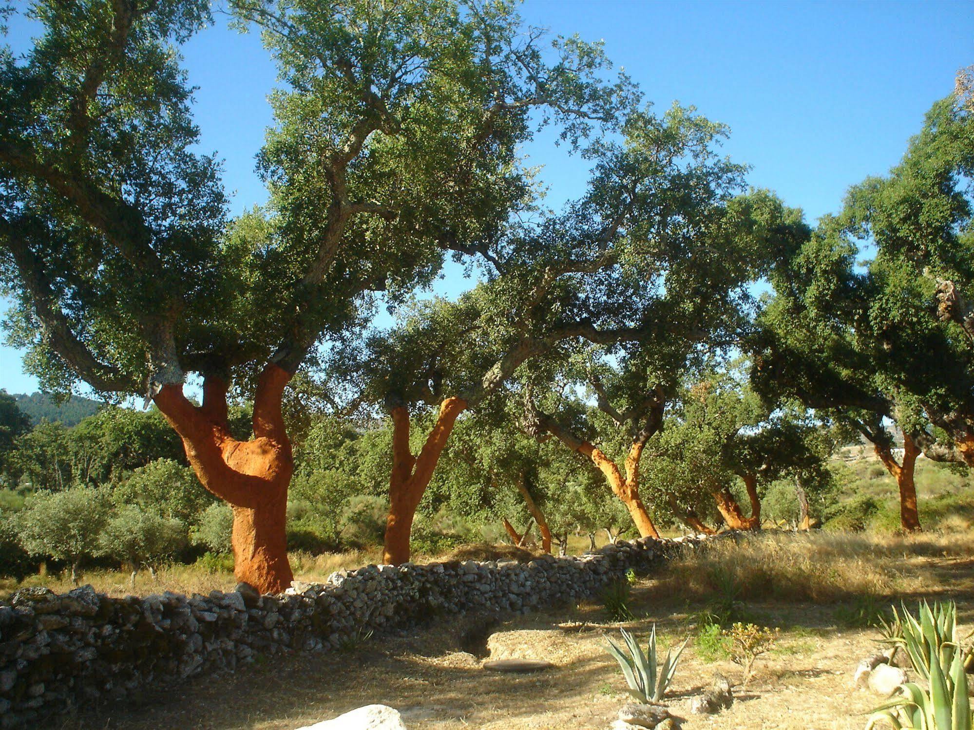 Herdade Da Fonte Castelo de Vide Zewnętrze zdjęcie